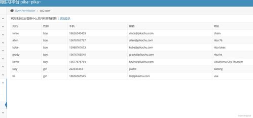 網(wǎng)絡(luò)與信息安全軟件開發(fā) 第八天關(guān)鍵漏洞分析與防護(hù)